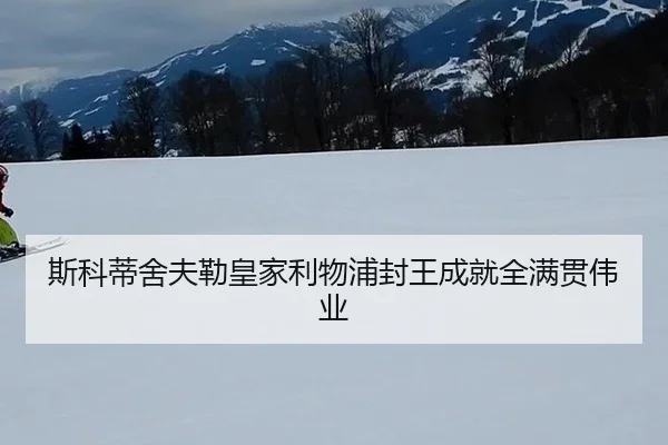 si-ke-di-she-fu-lei-huang-jia-li-wu-pu-feng-wang-cheng-jiu-quan-man-guan-wei-ye-3-365.jpg