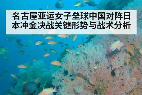 名古屋亚运女子垒球中国对阵日本冲金决战关键形势与战术分析